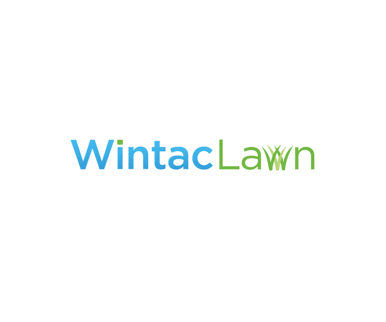wintac brand identity 1