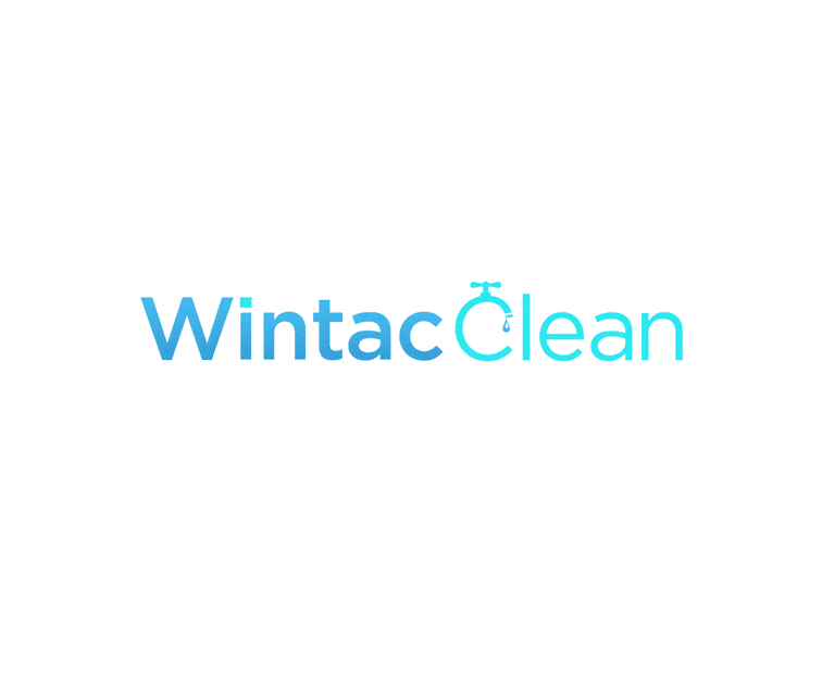 wintac brand identity 2